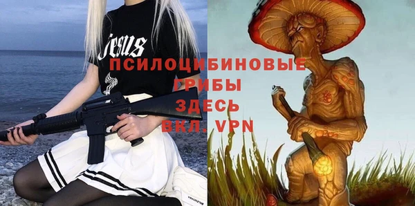 ALPHA PVP Новозыбков