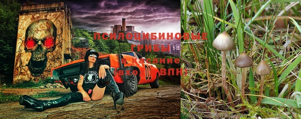 кокаин перу Белокуриха