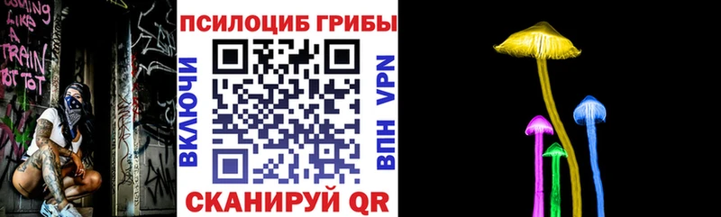 закладки  Жигулёвск  Галлюциногенные грибы GOLDEN TEACHER 